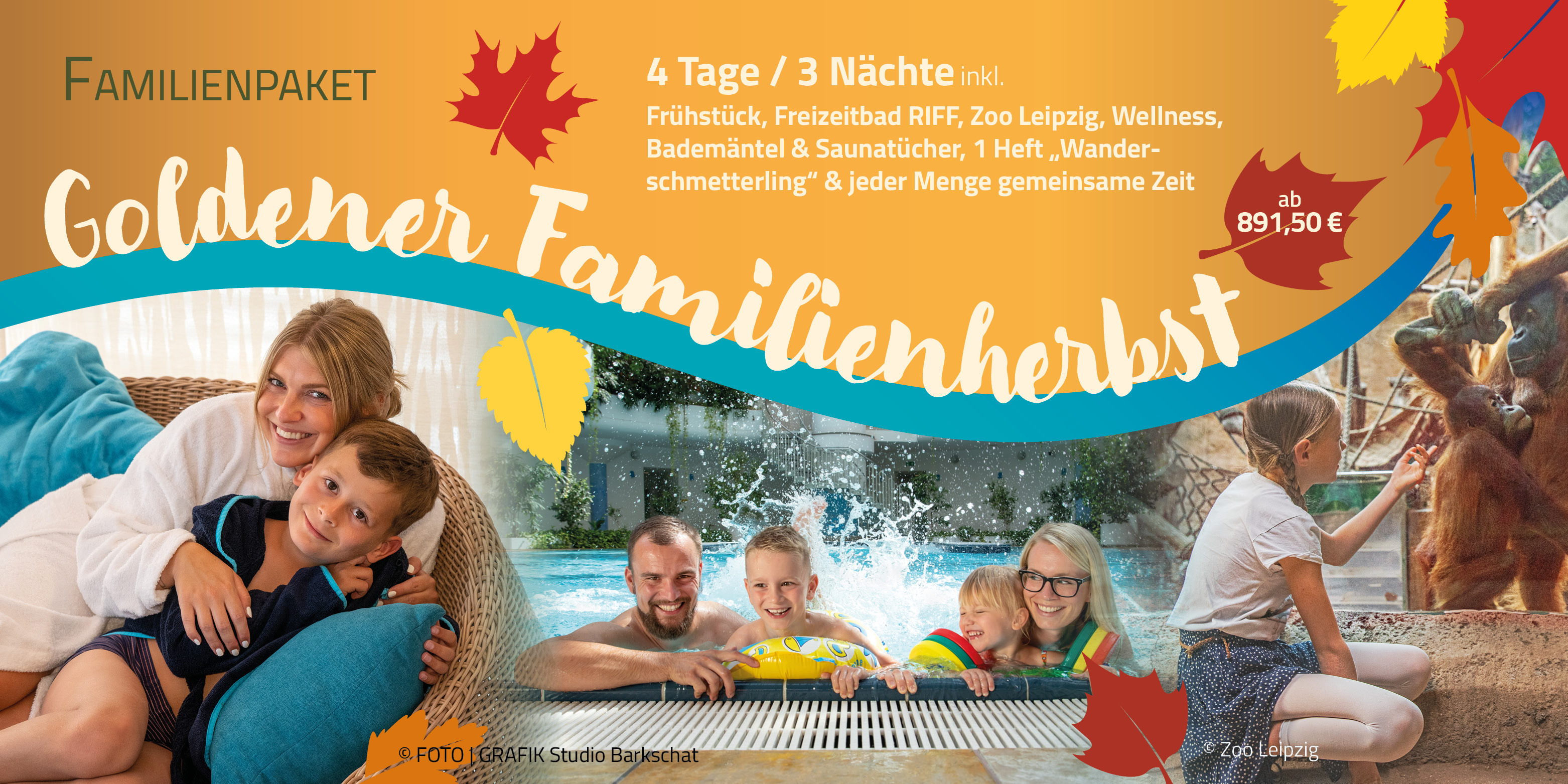 bild homepage