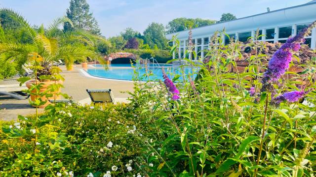 s_img_e8152 Freizeitbad RIFF – Spiel- & Liegewiese