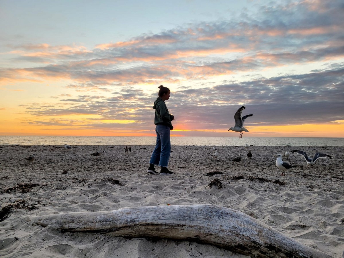 Abend am Weststrand