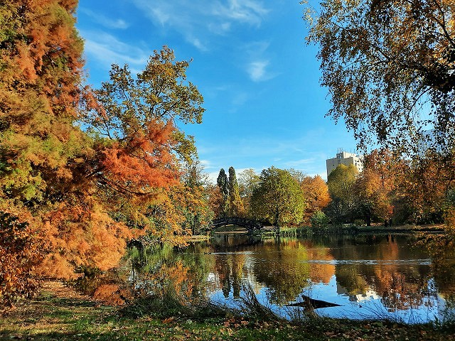 Herbst im Johanna Park