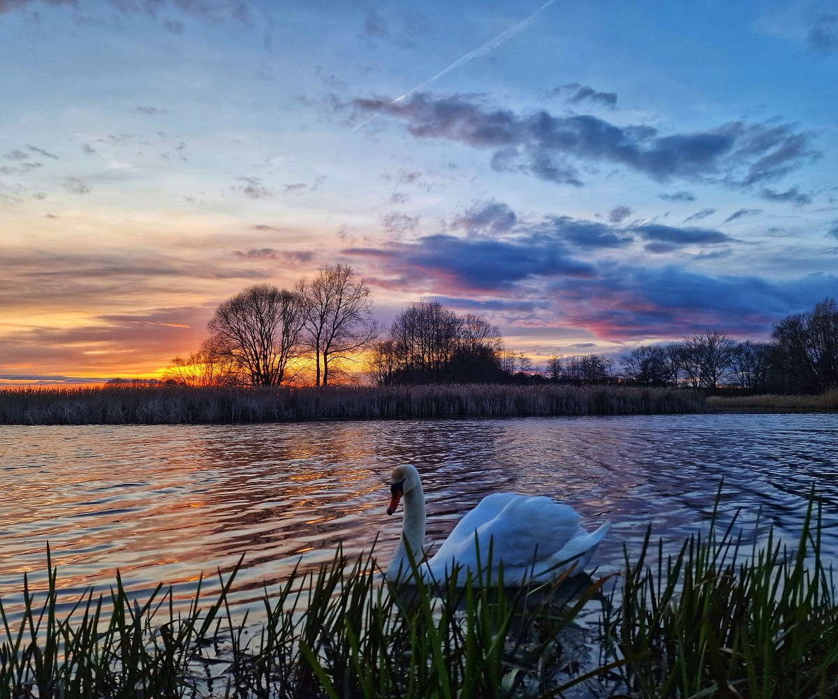 Abends am Lieblingsplatz