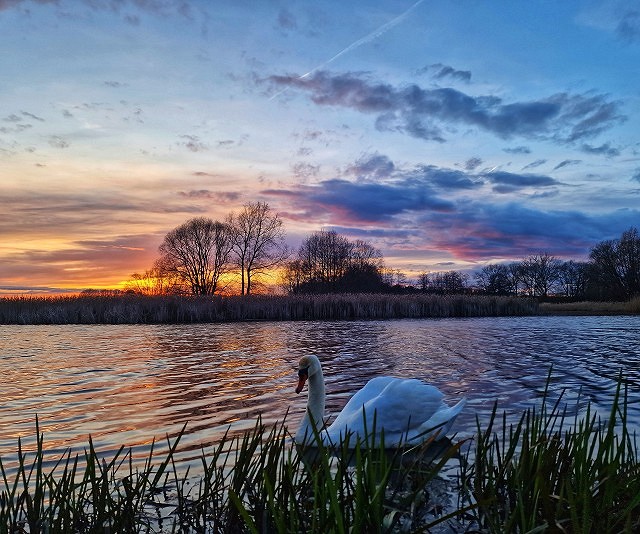 Abends am Lieblingsplatz