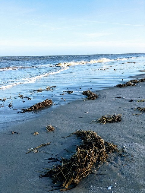 Eisige Nordsee im Winter