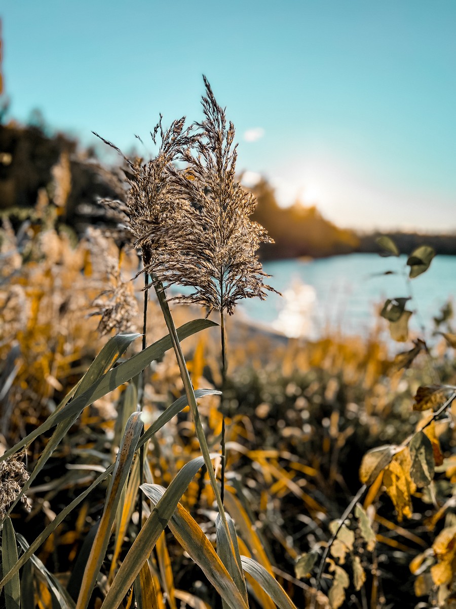 Die Abendsonne genießen