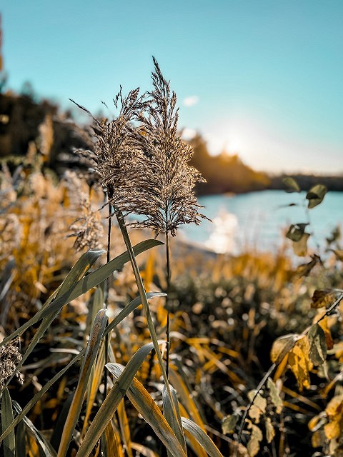 Die Abendsonne genießen