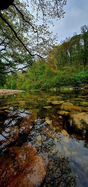 Am Ufer der Mulde