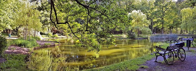 Lieblingsplatz am Wasser - Kurpark Ententeich