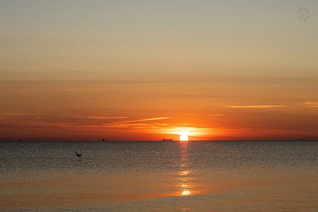 Sonnenaufgang auf Usedom
