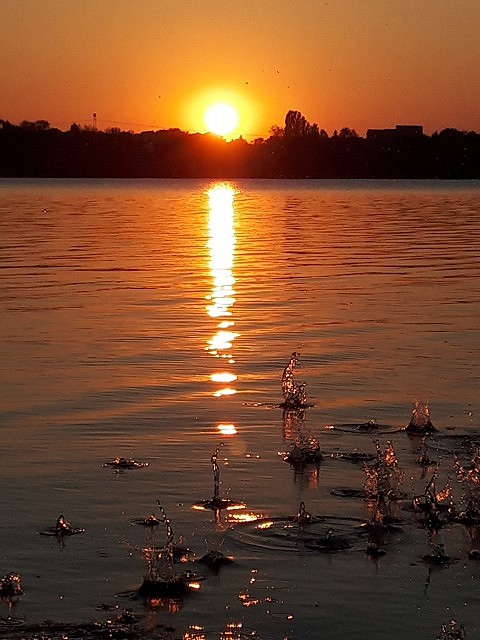 Abentstimmung am See